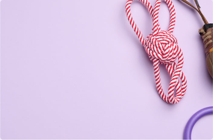 Gut Health Probiotic